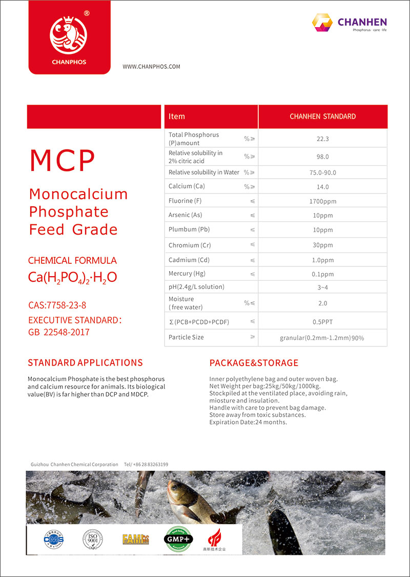 DM��-MCP004Ӣ�İ�