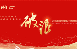 ���ˡ�����������VI��Ʒ�Ƽ��ž���2025�´������2024�ܽ�����